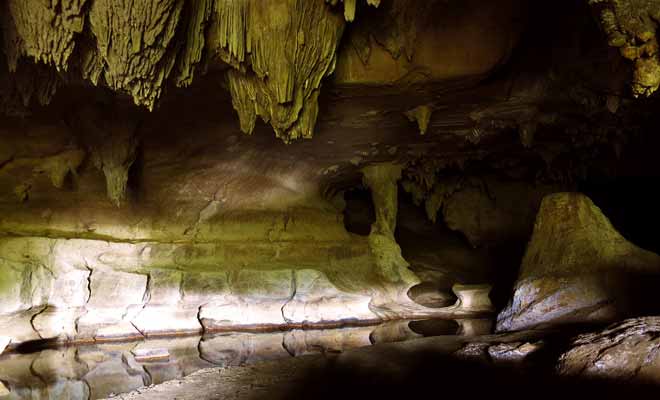 Les grottes d'Abbey Caves sont situées à proximité de Whangarei et l'on y trouve aussi des vers luisants.