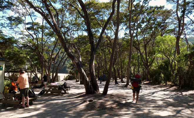 Les campings du parc ne sont desservis par aucune route et doivent être rejoints à pied. Les plus beaux emplacements ont été retenus.