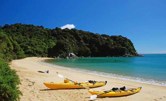 Le kayak n'est pas une obligation pour visiter le parc d'Abel Tasman qui offre un long chemin de randonnée. Mais le Kakak permet d'avoir un point de vue différent et d'approcher les otaries.