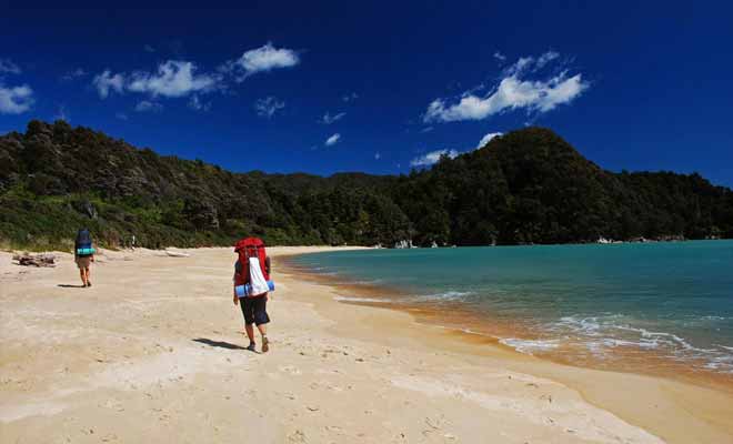L'Abel Tasman Coast Track fait partit des neuf grandes randonnées de Nouvelle-Zélande. Mais vous n'êtes pas obligé de la suivre sur 55 km. Des bateaux-taxis assurent la navette entre différentes étapes du parcours.