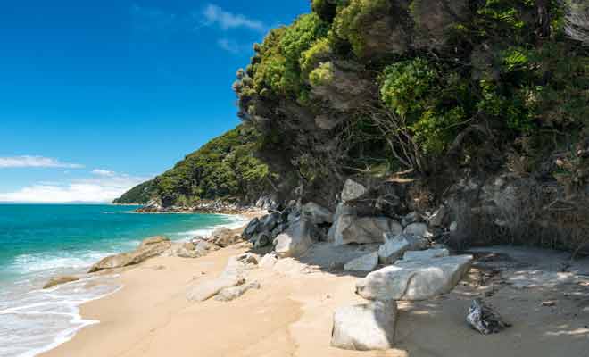 S'il est légitime de comparer Abel Tasman et le Queen Charlotte Track, il serait toutefois regrettable de renoncer à l'une de ses randonnées.