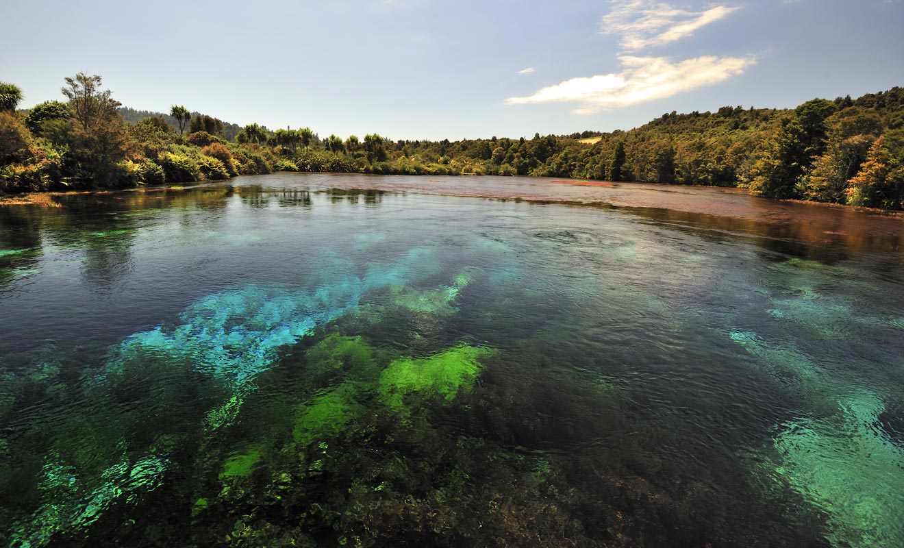 Les Pupu Springs possèdent une eau d'une pureté sans égale. La visibilité demeure parfaite jusqu'à des dizaines de mètres de profondeur.