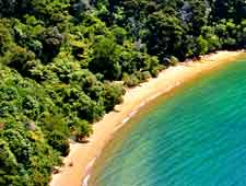 Abel Tasman