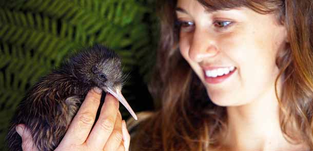 Jeune femme qui tient un kiwi dans sa main.