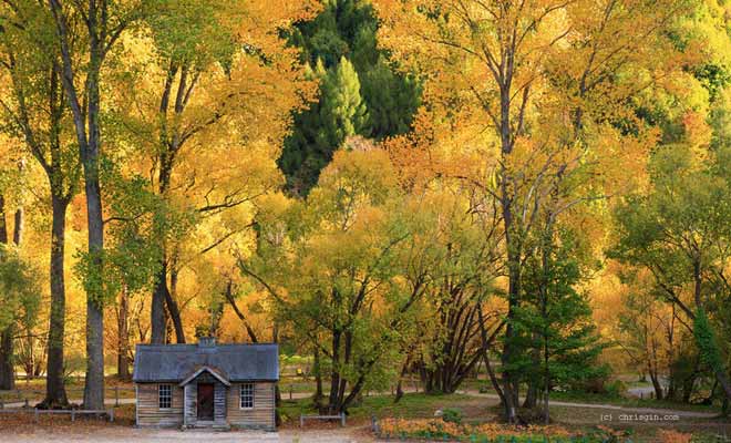 Située juste à côté de la célèbre ville de Queenstown, la petite bourgade d'Arrowtown est l'une des plus paisibles et des plus belles de toute la région de l'Otago. Il est particulièrement recommandé de venir la visiter au début de l'automne pour profiter de ses couleurs flamboyantes.