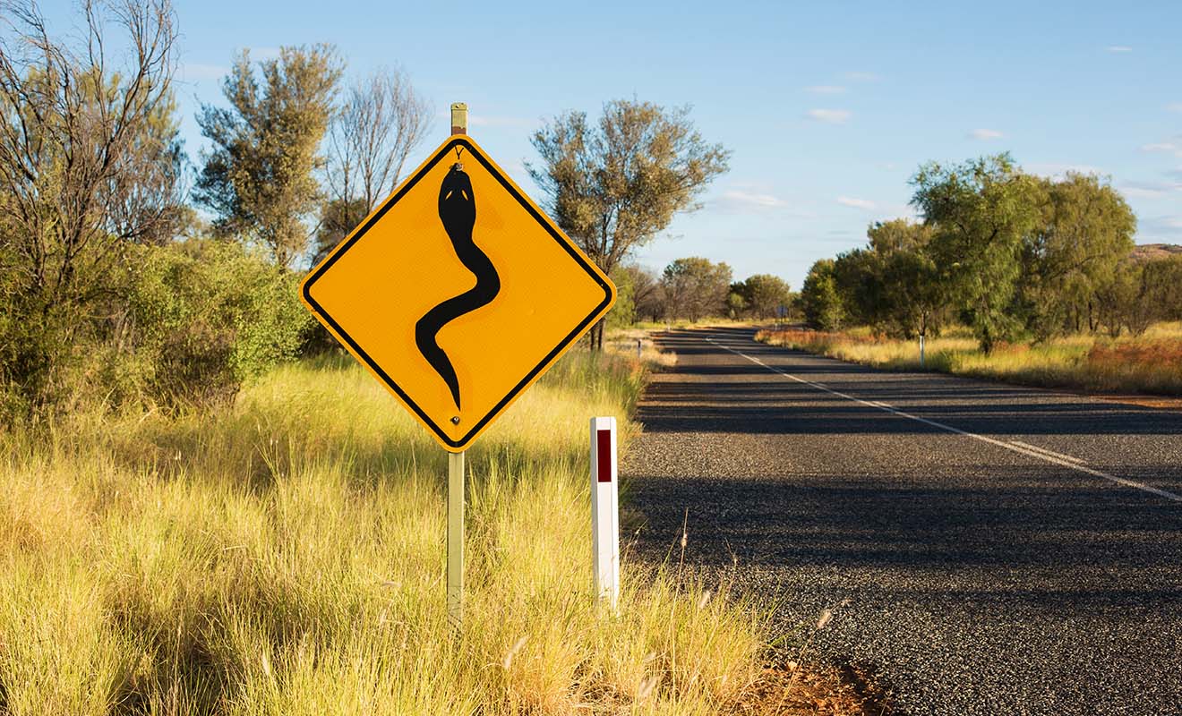 On compte près d'un centaine d'espèces de serpents venimeux en Australie, alors soyez-prudents !