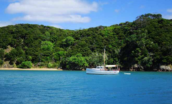 Tous les emplois en HelpX ne se valent pas. Si vous le pouvez, évitez d'accepter des travaux en usine et préférez les activités en plein air dans des cadres paradisiaques. Réparer un bateau à bay of Islands dans le Northland est une activité certes physique, mais qui laisse le temps d'explorer la région.