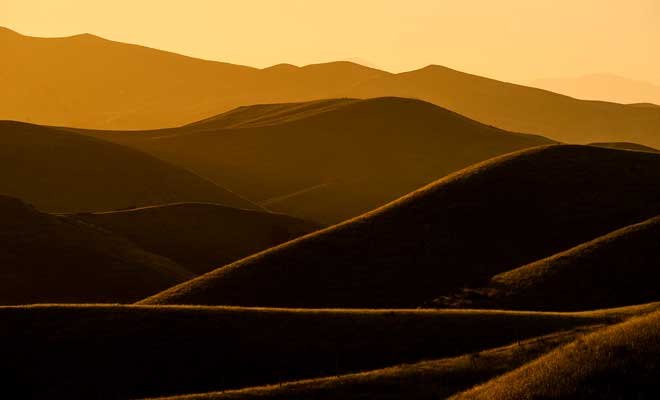 Célèbre autant pour la beauté de ses Sounds que de ses vignobles, le Marlborough est une étape incontournable.