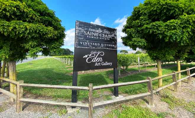 Saint Clair fait partie des premiers vignobles du Marlborough, avec une première cuvée dans les années 1970.