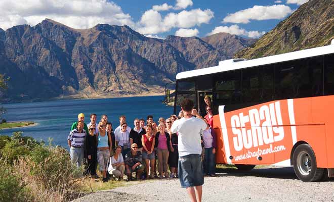 Des compagnies comme Stray ou Kiwi Experience vous propose des voyages en bus avec un chauffeur privé qui sert aussi de guide.