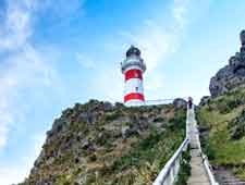 Cape Palliser