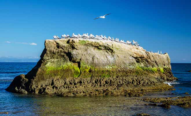 À partir de ce point, il faudra suivre le sentier qui permet de rejoindre le sommet de la falaise.