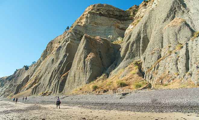 Avec ses galets et ses rochers à contourner en respectant les horaires des marées, la randonnée à Cape Kidnappers n'est pas aussi simple que l'on pourrait penser.