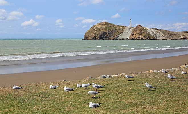 Castlepoint attire les vacanciers en provenance de Wellington, mais très peu de visiteurs étrangers se donnent la peine de venir admirer la plage et son phare.