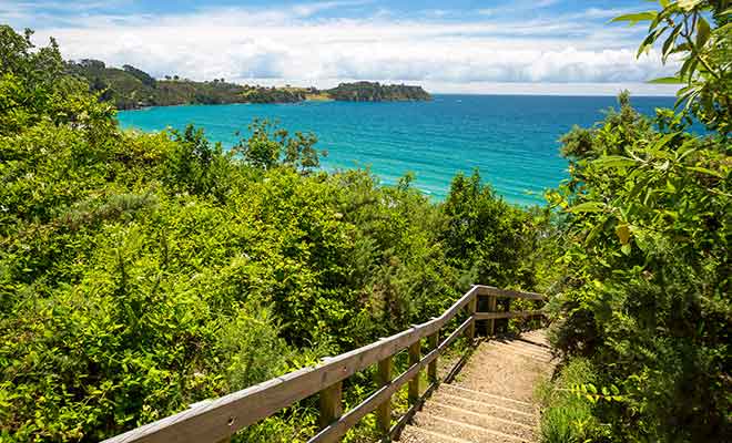 Avant de gagner la plage, il reste à descendre un escalier en bois. L'inconvénient, c'est qu'il faudra le gravir au retour...