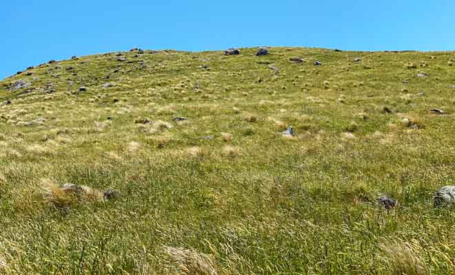 Le sentier est plus aisé à monter qu'à descendre et peut donner le vertige par endroit. Heureusement, la pente de la colline est praticable à condition que l'herbe soit sèche pour ne pas glisser.
