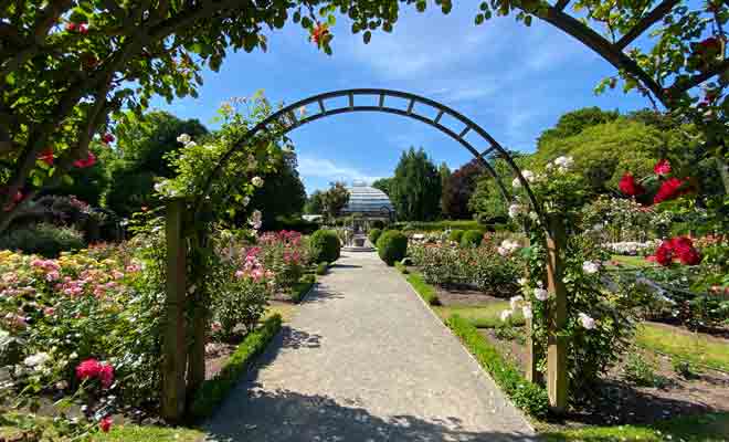 Très romantique, Central Rose Garden est souvent utilisée pour les photos de mariage.