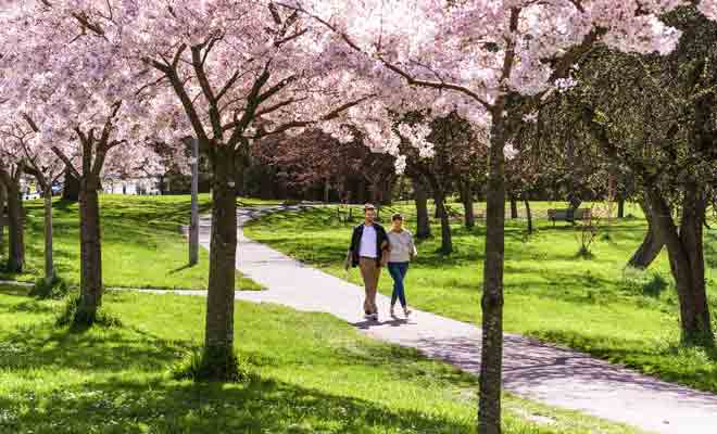 Avec sa centaine d'hectares en plein centre-ville, Hagley Park est voisin du Jardin botanique.
