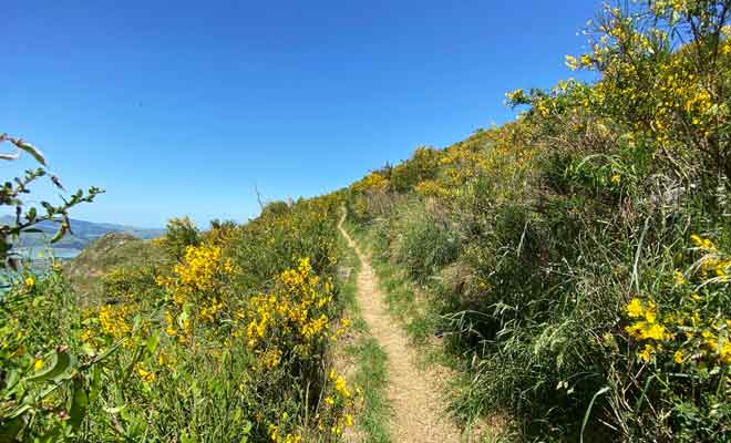 Le chemin longe le cratère à bonne distance sans donner le vertige.