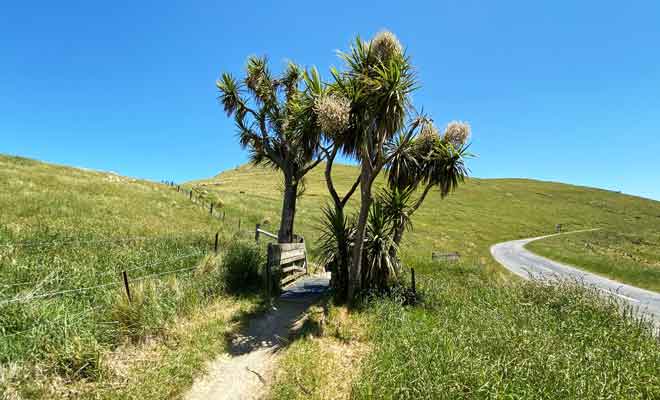 Il n'y a pas de raison particulière de refaire toute la randonnée en sens inverse, alors autant suivre la route au retour pour revenir plus vite à Christchurch.