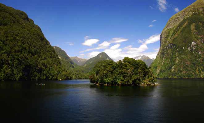 L'eau de pluie fraiche qui filtre la lumière du soleil permet au corail de se développer à faible profondeur. Ce phénomène explique la teinte sombre du fiord.