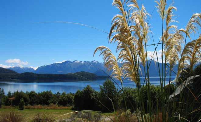 Le point de départ des excursions est fixé à Pearl Harbour (aucun rapport avec la base navale du même nom) sur les rives du lac Manapouri.
