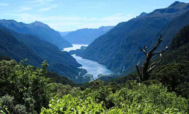 Difficile d'accès, le Doubtful Sound est moins visité que le Milford Sound, mais il est plus sauvage et plus majestueux.