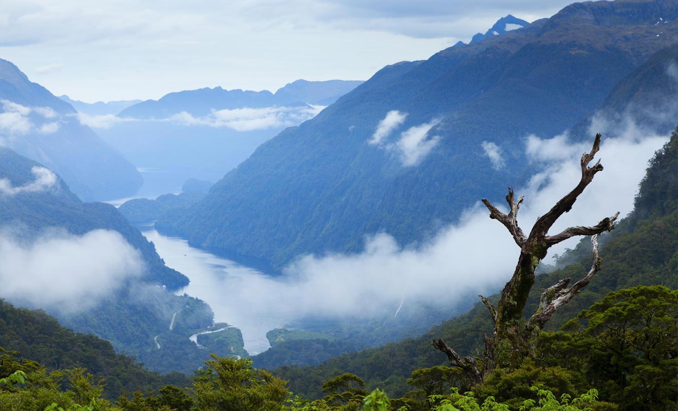 Les montagnes se reflètent sur les eaux calmes du Doubtful Sound.