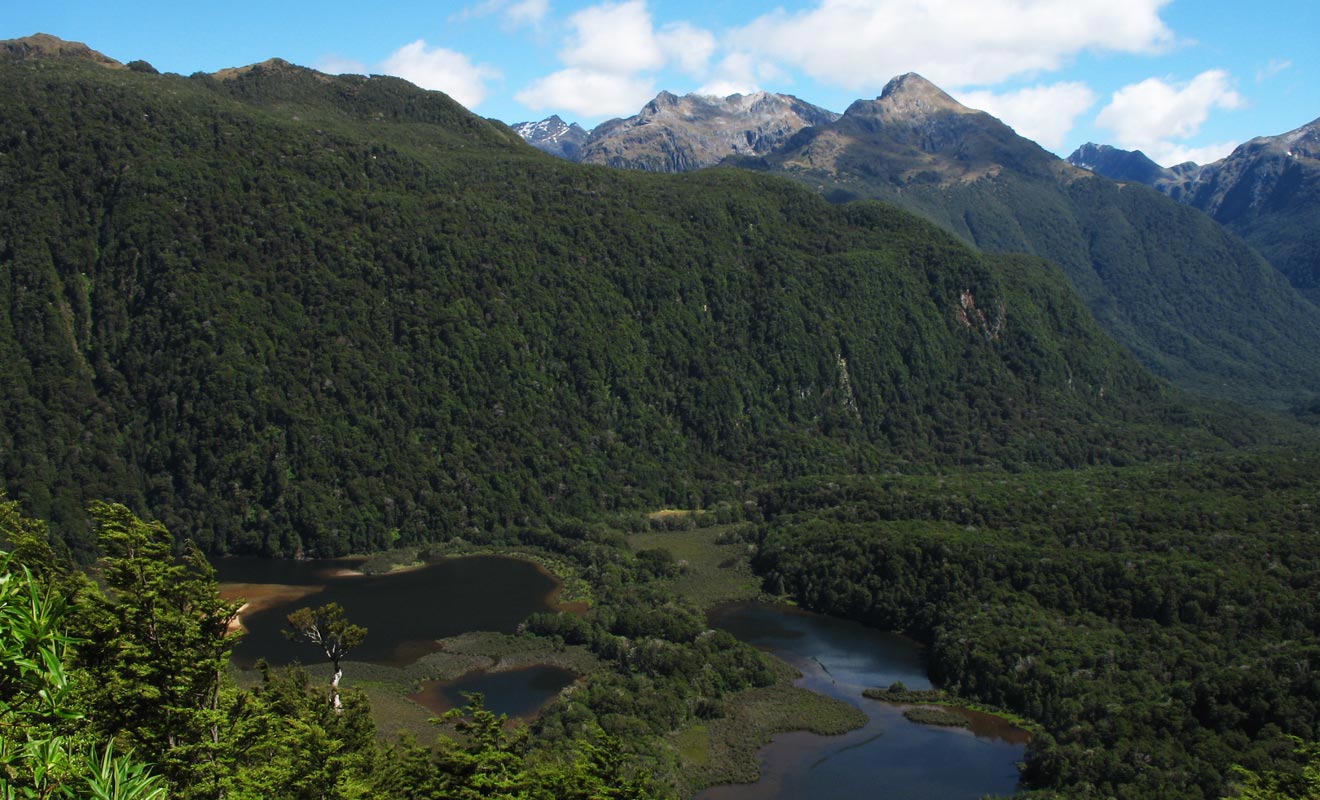 Le Doubtful Sound est difficile d'accès et l'excursion qui permet de le visiter occupe une journée entière. Ce qui explique que la majorité des visiteurs lui préfèrent le Milford Sound.