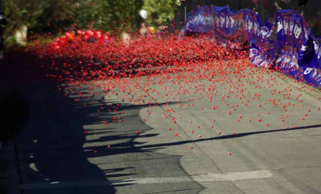 La « Jaffa Race » est un événement annuel qui se tient durant le festival du chocolat. Pour désigner les gagnants de la tombola, 30.000 bonbons jaffas numérotés sont déversés dans Baldwin St. Les premiers chocolats arrivés désignent les vainqueurs.