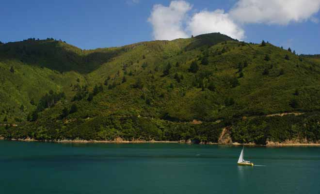 À l'approche de Picton, le ferry qui assure la liaison entre les deux îles traverse un détroit magnifique.
