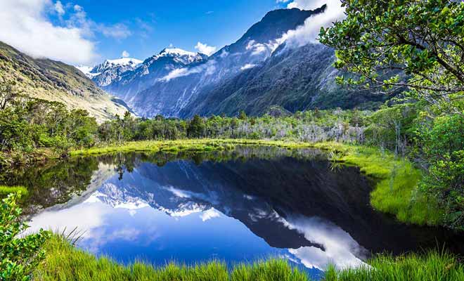 La Nouvelle-Zélande semble proche du Pôle Sud, mais son climat subtropical est en réalité doux toute l'année.