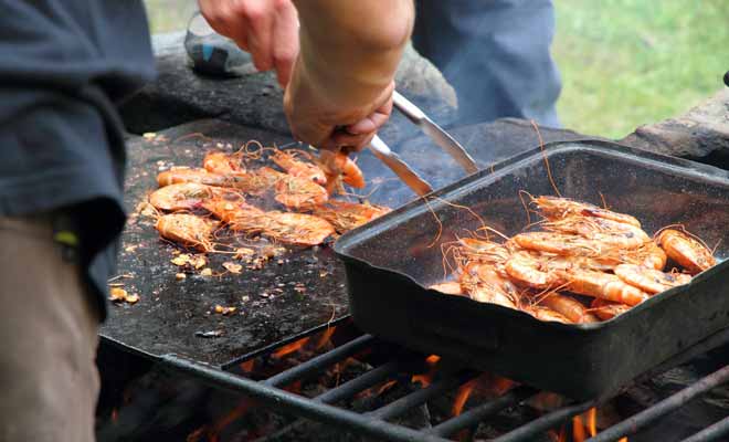 Après votre sortie en rafting, vous aurez bien mérité de reprendre des forces, et plutôt que de vous offrir un misérable sandwich, l'organisateur vous aura préparé un solide barbecue pendant que vous prenez une douche bien chaude.