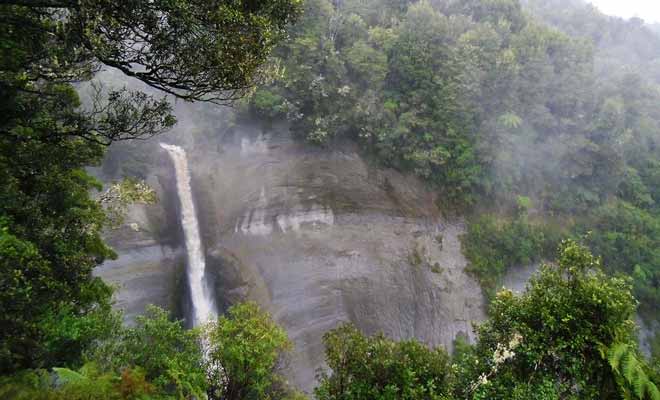 Les dampers falls se trouvent non loin de la forgotten world highway.