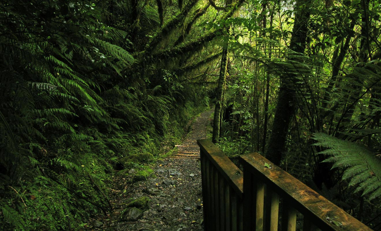 La West Coast est une région très difficile d'accès en raison de sa forêt pratiquement impénétrable. Même les Maoris ne s'y aventuraient guère et la plupart des tentatives pour exploiter les ressources de la région ont échoué.