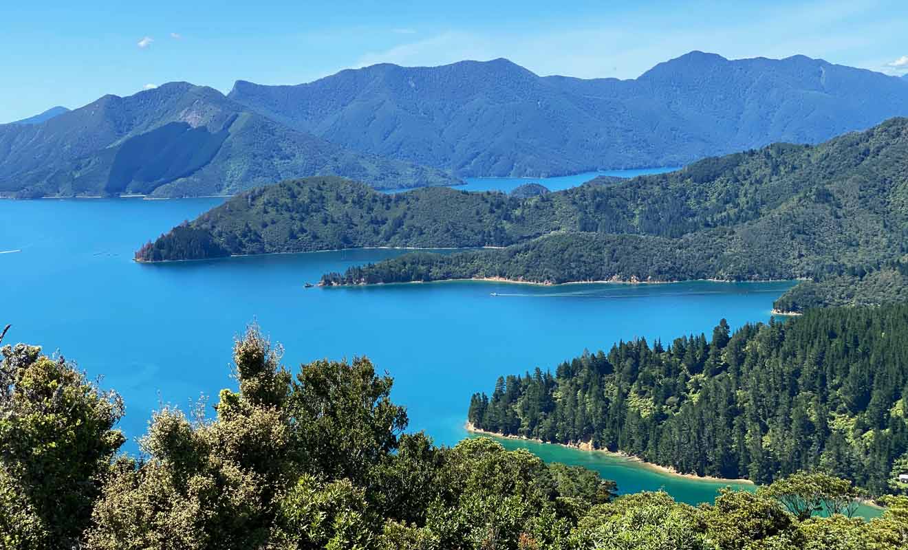 Il suffit de gravir la colline du Memorial pour profiter d'un point de vue à 360° sur les Marlborough Sounds.