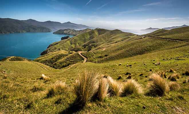 Vous pouvez visiter French Pass toute l'année.