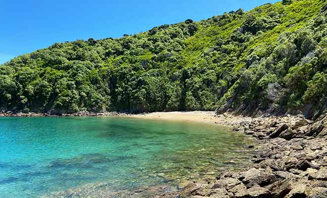 La plage de Man-o-War porte mal son nom, car elle paisible et à l'abri des courants.