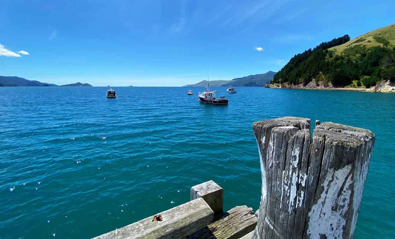 Les Marlborough Sounds regorgent de maisons de vacances en bord de mer.