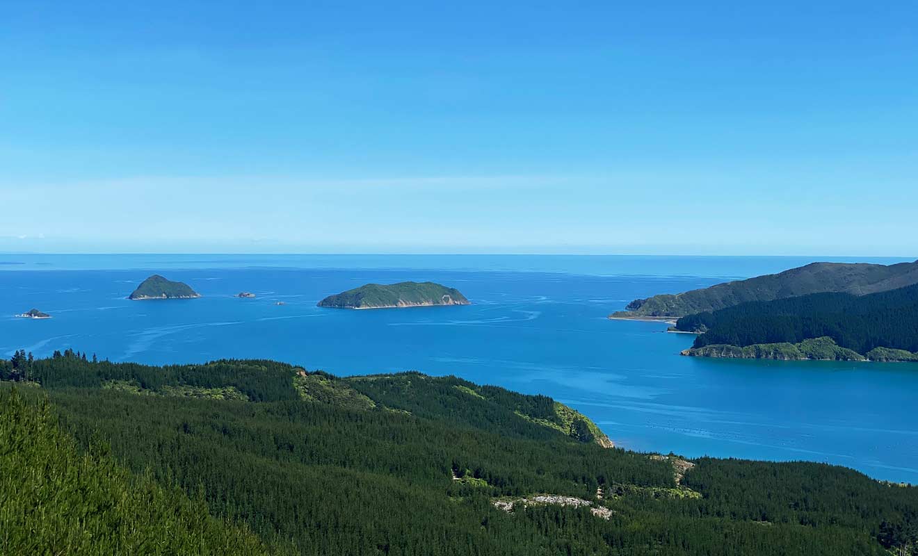 À partir de Squally Cove, le paysage sera une suite ininterrompue de paysages magnifiques.