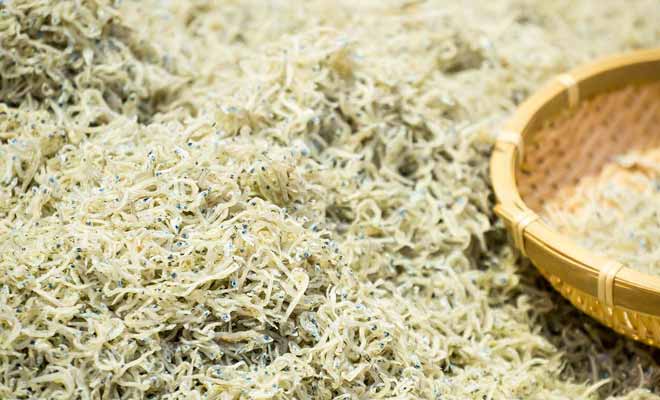 Le Whitebait coûte si cher et sa pêche est si règlementé que certains pêcheurs n'hésitent pas à revendre le poisson au marché noir pour ne pas respecter les quotas.