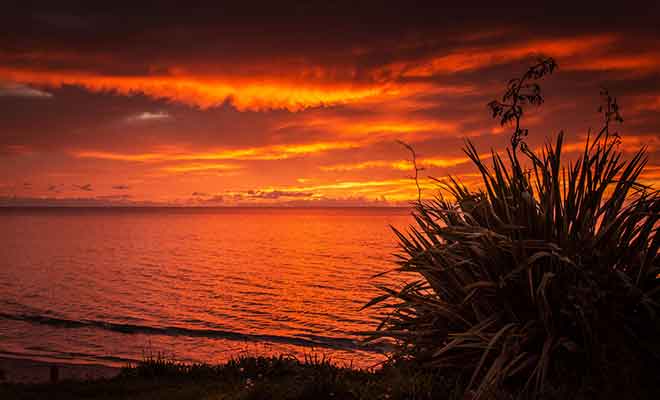 Golden Bay est un refuge paisible pour les voyageurs venu se ressourcer en Nouvelle-Zélande.