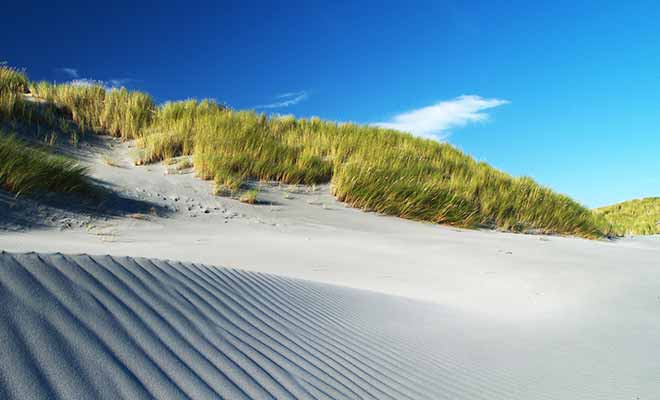 Certaines dunes se déplacent de vingt mètres et un navire échoué est visible ou masqué au gré des saisons.
