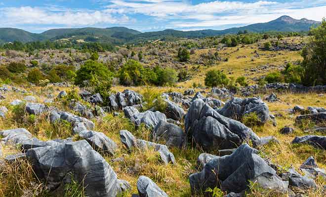 De nombreuses cavités et grottes peuvent être visitées dans les Takaka Hills.
