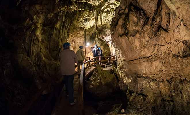 La visite payante des Ngarua Caves se déroule en compagnie d'un guide.