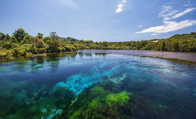 La pureté de l'eau est telle que l'on peut voir à 63 m sous la surface.