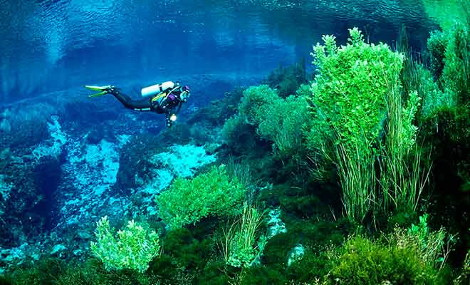 L'eau est d'une pureté quasi parfaite, et le paysage aquatique est splendide.