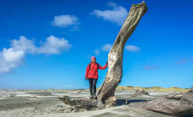 On trouve parfois des fauteuils et des pneus de voiture dans le sable !