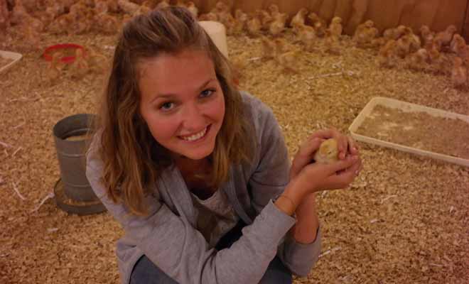 Tous les HelpX ou WWoof ne donnent pas l'opportunité de travailler avec de mignons petits poussins, mais quand cela arrive, vous avez de la chance !