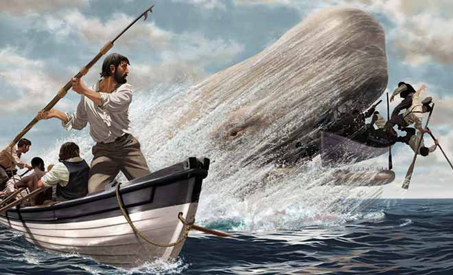Activité dangereuse, mais très lucrative, la pêche à la baleine attire les Occidentaux qui ont besoin de ports d'attache.